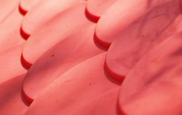 Cubeck plastic roof costs