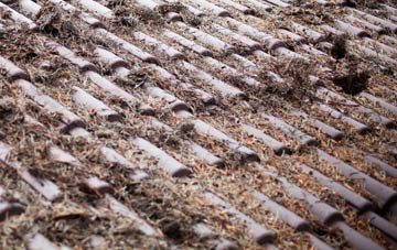 Cubeck roof cleaning companies