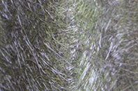 Cubeck fibreglass roof work